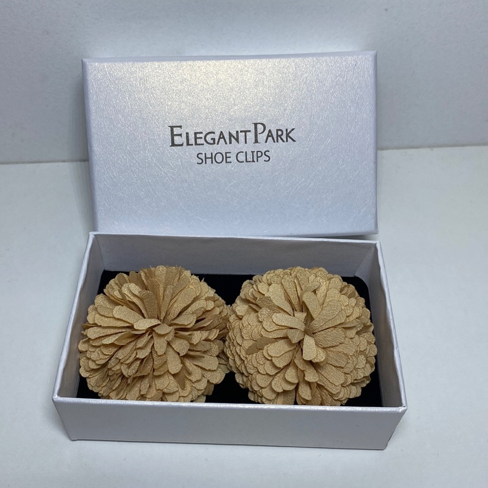 Elegant Park Shoe Clips